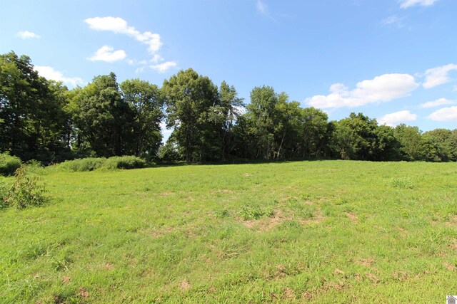 000 Spyglass Dr, Ledbetter, KY 42058