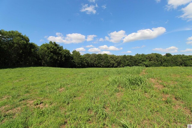 000 Spyglass Dr, Ledbetter, KY 42058