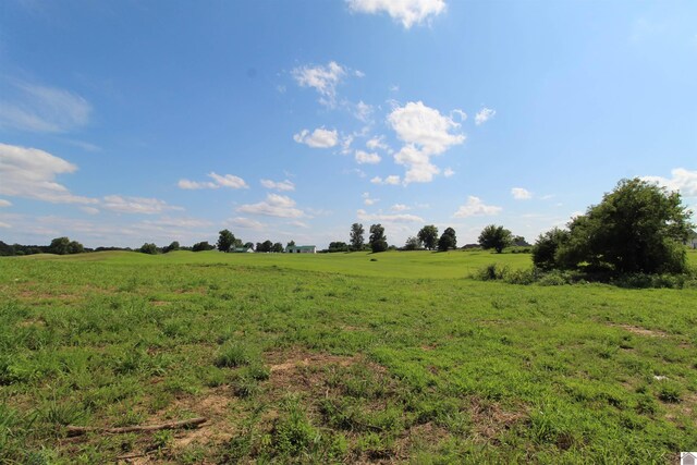 000 Spyglass Dr, Ledbetter, KY 42058