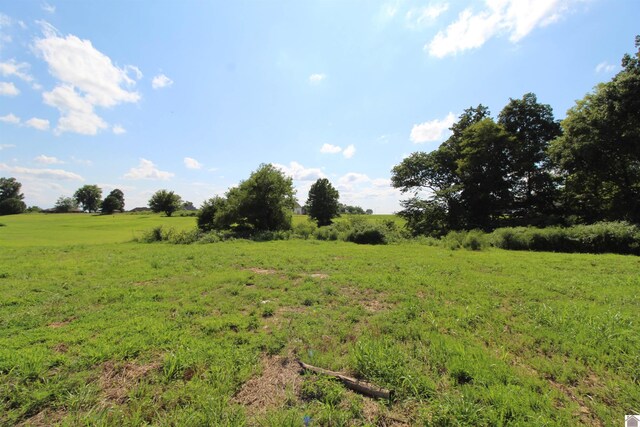 000 Spyglass Dr, Ledbetter, KY 42058