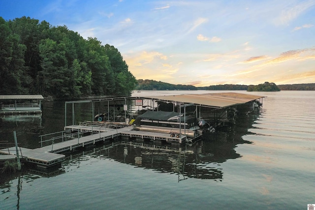 dock area with a water view