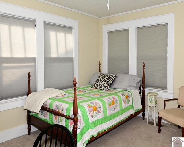 bedroom featuring a spacious closet, a closet, hardwood / wood-style floors, crown molding, and ceiling fan