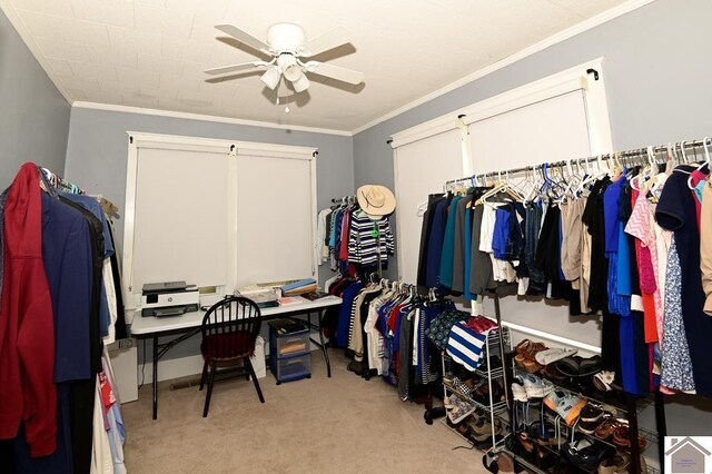 spacious closet featuring light carpet and ceiling fan