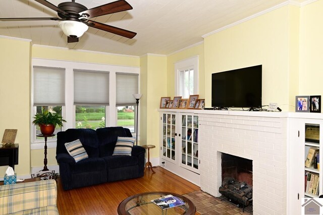 bedroom with ceiling fan, a walk in closet, wood-type flooring, a closet, and ornamental molding