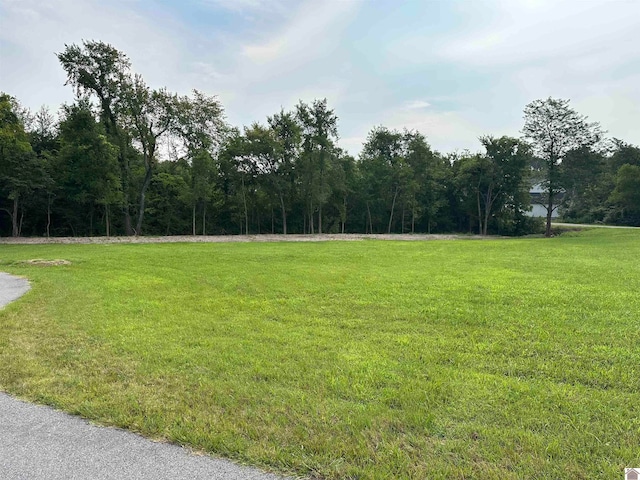 LOT11 Hill Creek Ln, Benton KY, 42025 land for sale