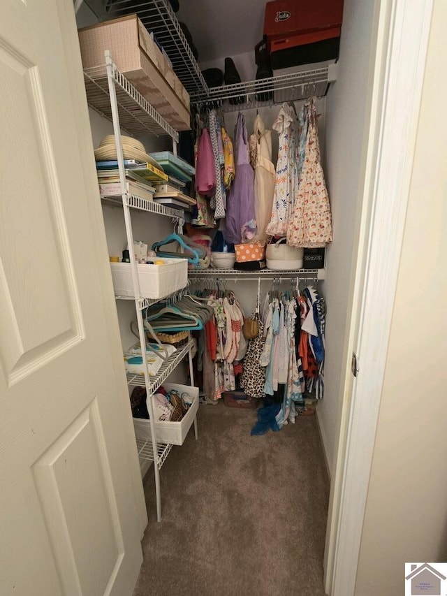 spacious closet with carpet flooring