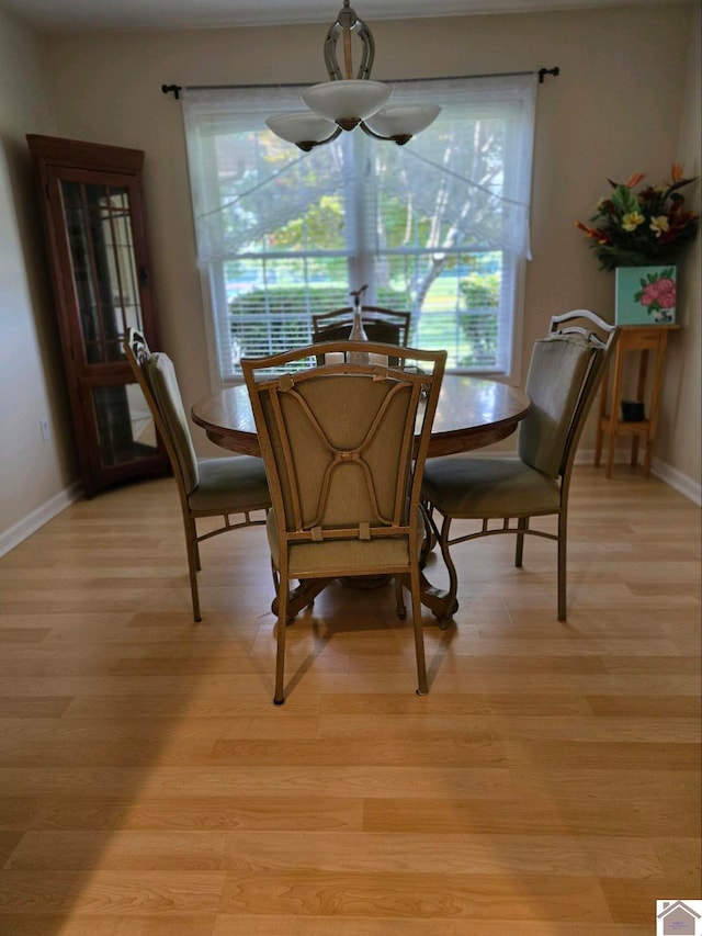 dining space with light hardwood / wood-style floors