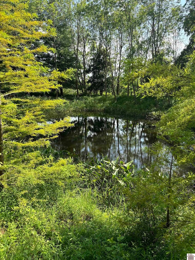 view of water feature