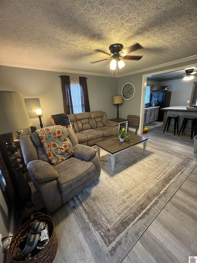 living room featuring ceiling fan, a textured ceiling, light hardwood / wood-style flooring, and ornamental molding