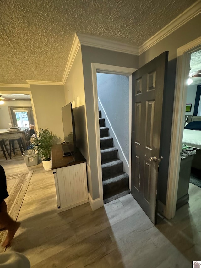 interior space featuring hardwood / wood-style floors, crown molding, and a textured ceiling