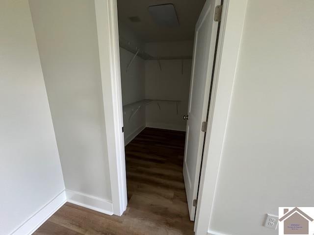 walk in closet with hardwood / wood-style flooring