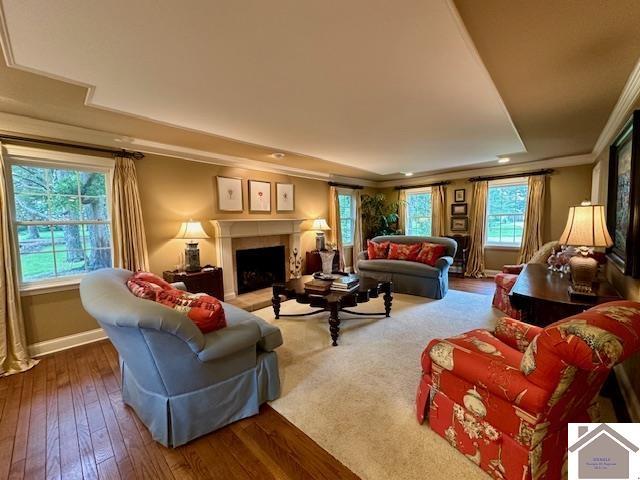 living area featuring a fireplace with raised hearth, hardwood / wood-style floors, baseboards, a tray ceiling, and crown molding