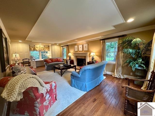 living room with crown molding, a tray ceiling, and wood-type flooring