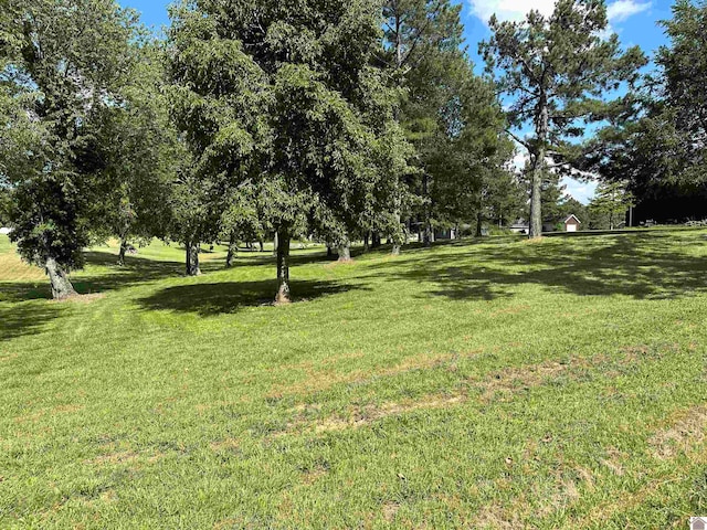 LOT17 Jordyn Bailey Dr, Murray KY, 42071 land for sale