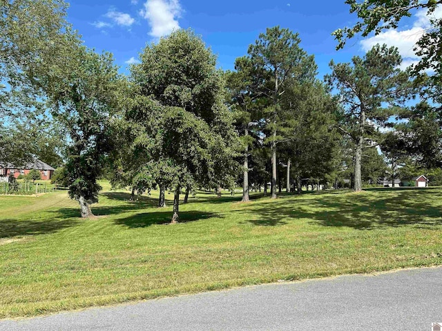 Listing photo 2 for LOT17 Jordyn Bailey Dr, Murray KY 42071