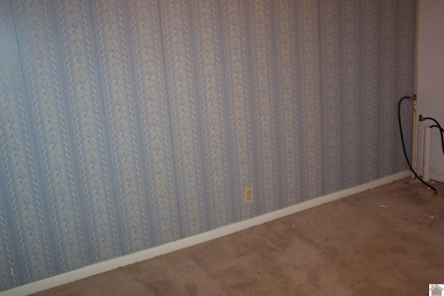 unfurnished room with carpet floors