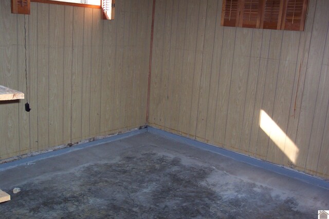 basement with wood walls