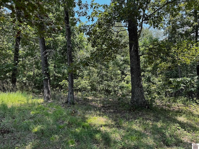 Listing photo 3 for LOT163 Hilltop Dr, Murray KY 42071