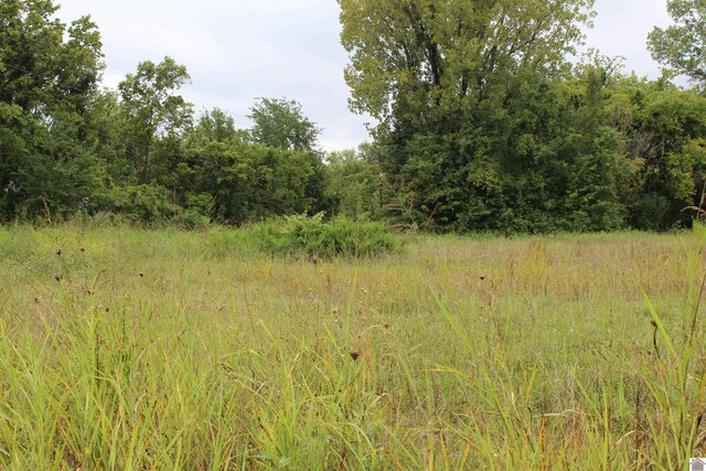000 N Jefferson St, Princeton, KY 42445