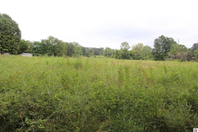 000 N Jefferson St, Princeton, KY 42445