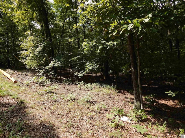 LOT25 Imogene Dr, Gilbertsville KY, 42044 land for sale