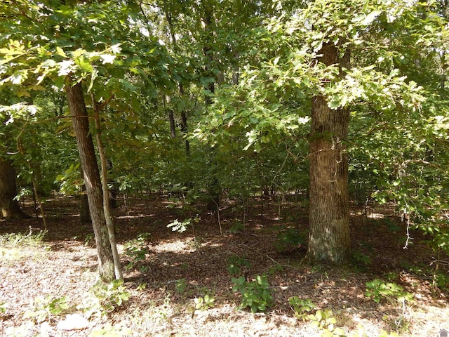 Listing photo 2 for LOT25 Imogene Dr, Gilbertsville KY 42044