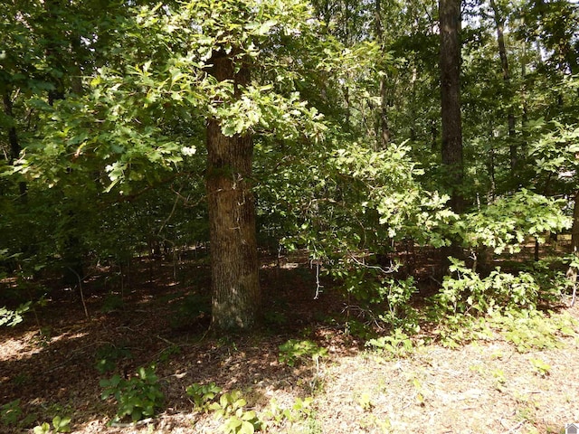 Listing photo 3 for LOT25 Imogene Dr, Gilbertsville KY 42044