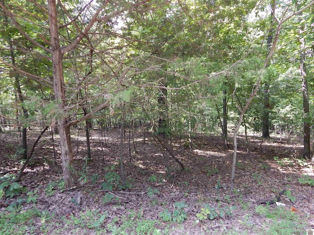 LOT29 Imogene Dr, Gilbertsville KY, 42044 land for sale