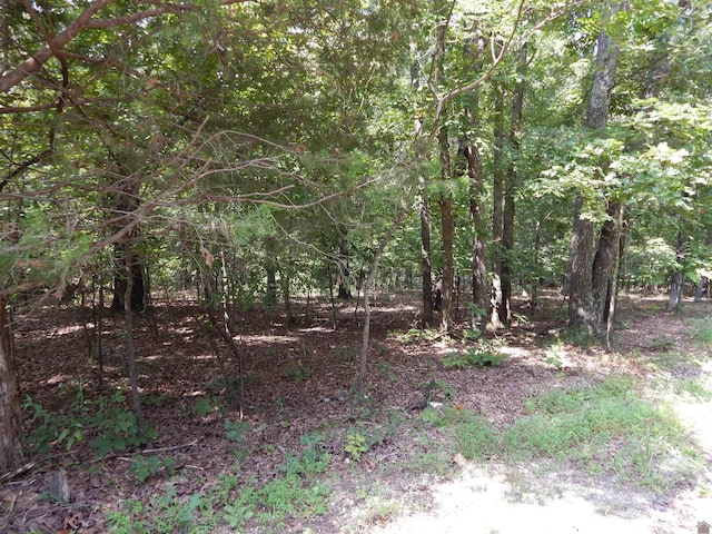 Listing photo 2 for LOT29 Imogene Dr, Gilbertsville KY 42044