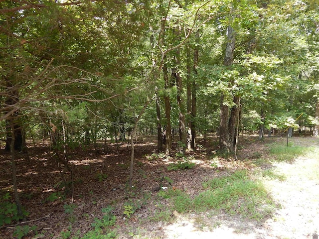 Listing photo 3 for LOT29 Imogene Dr, Gilbertsville KY 42044