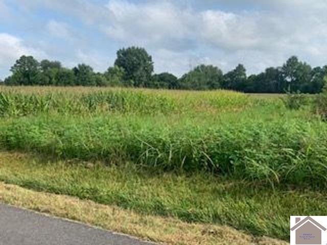 Hines Rd, Paducah KY, 42001 land for sale