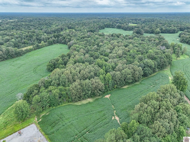 10950 State Route 408 E, Hickory KY, 42025 land for sale