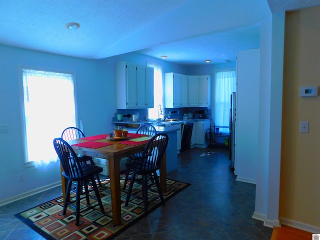 dining area with a textured ceiling, dark tile patterned flooring, and a healthy amount of sunlight