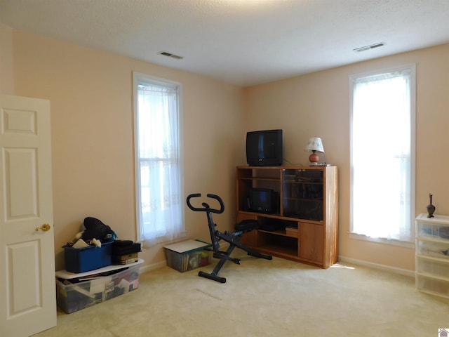 workout area featuring carpet flooring