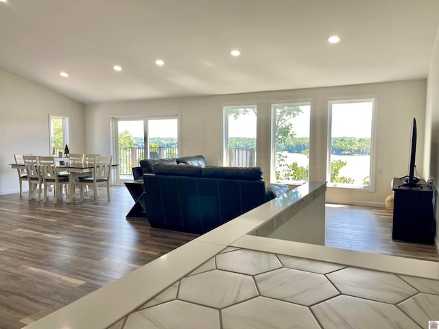 living room with dark wood-type flooring and lofted ceiling