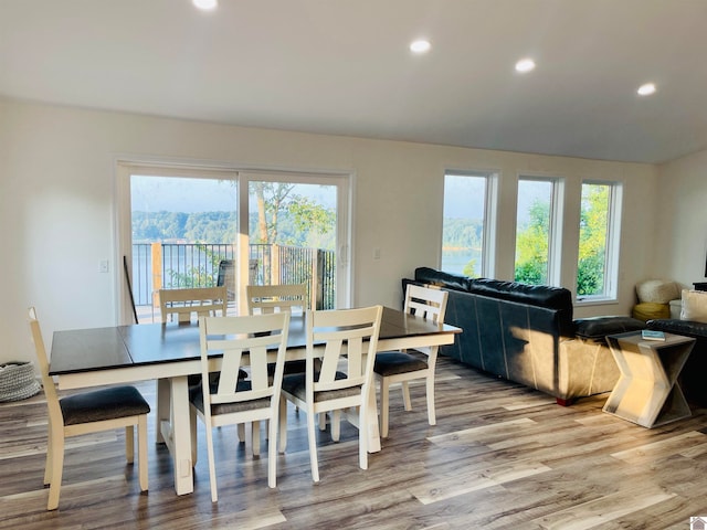 dining space with light hardwood / wood-style floors