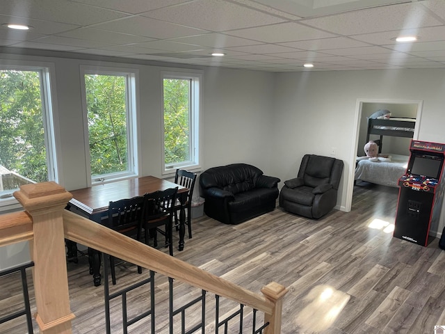 dining room with a drop ceiling and hardwood / wood-style flooring