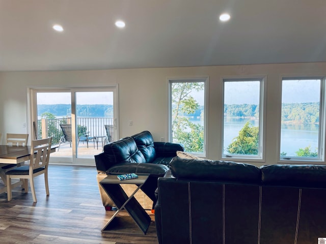 living room with a mountain view, light hardwood / wood-style flooring, and plenty of natural light