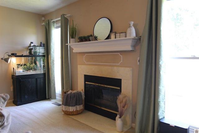 living room featuring carpet floors