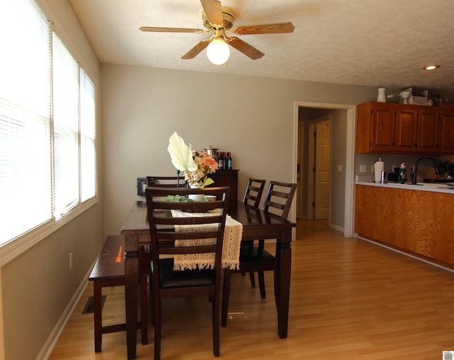 dining area with ceiling fan, sink, and light wood-type flooring