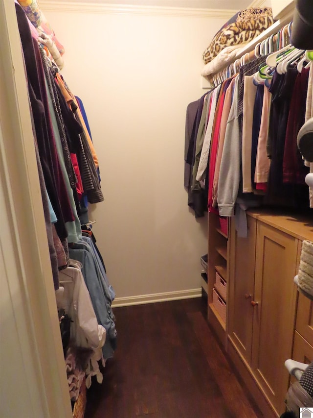 walk in closet with dark wood-type flooring