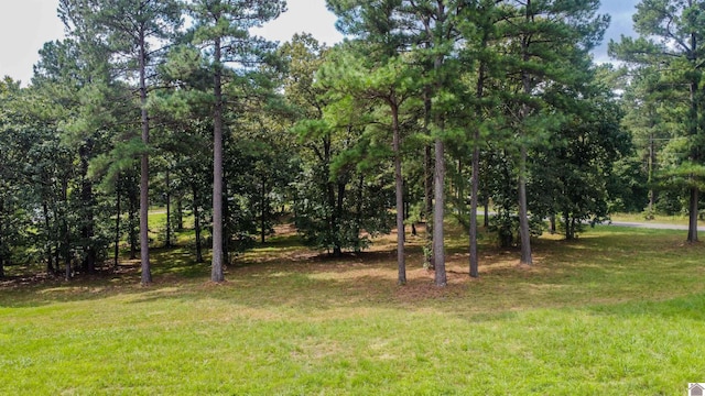 Listing photo 3 for LOT25-27 Pine View Dr, Benton KY 42025