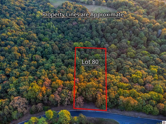 LOT79BAND80 Waterfowl, Murray, KY 42071