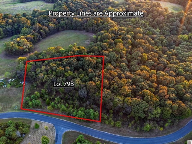 LOT79BAND80 Waterfowl, Murray, KY 42071