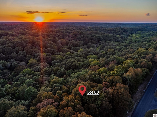 LOT79BAND80 Waterfowl, Murray, KY 42071