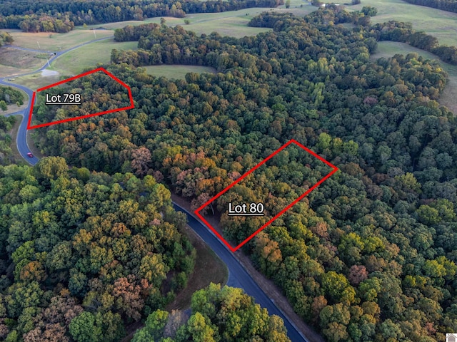 LOT79BAND80 Waterfowl, Murray, KY 42071