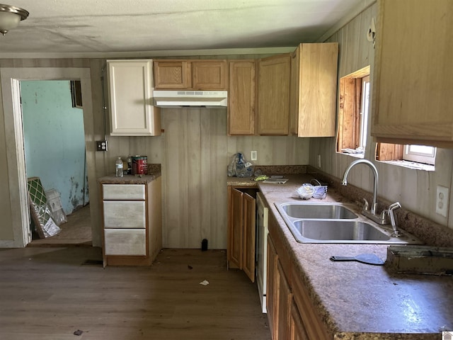 kitchen with wood finished floors, a sink, and under cabinet range hood