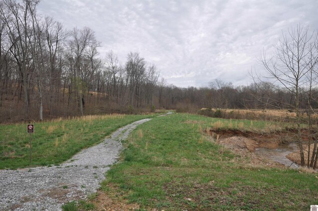 00 Hills Hollow Rd, Murray, KY 42071