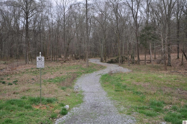 00 Hills Hollow Rd, Murray, KY 42071