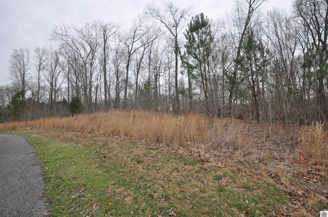00 Hills Hollow Rd, Murray, KY 42071